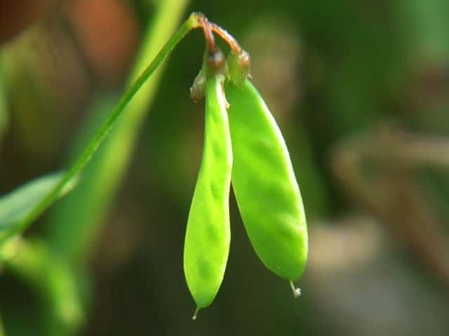 �J�X�}�O�T