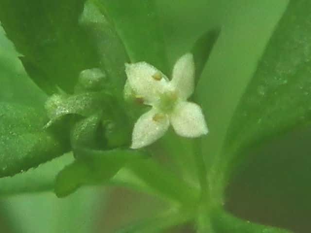 �L�N���O��