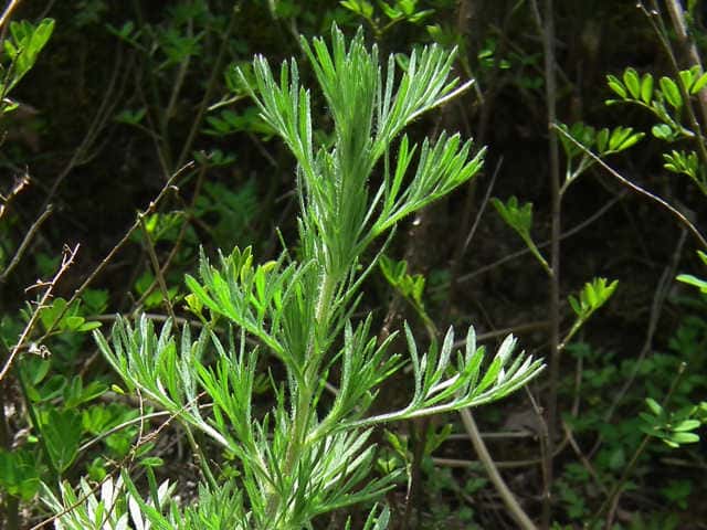 �J���������M