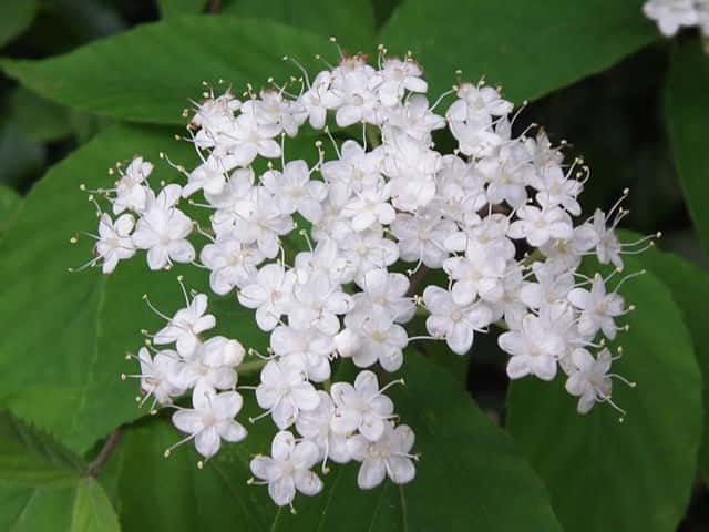 �R�o�m�K�}�Y�~