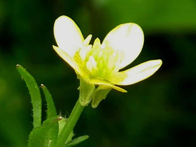 �C�{�~�L���|�E�Q