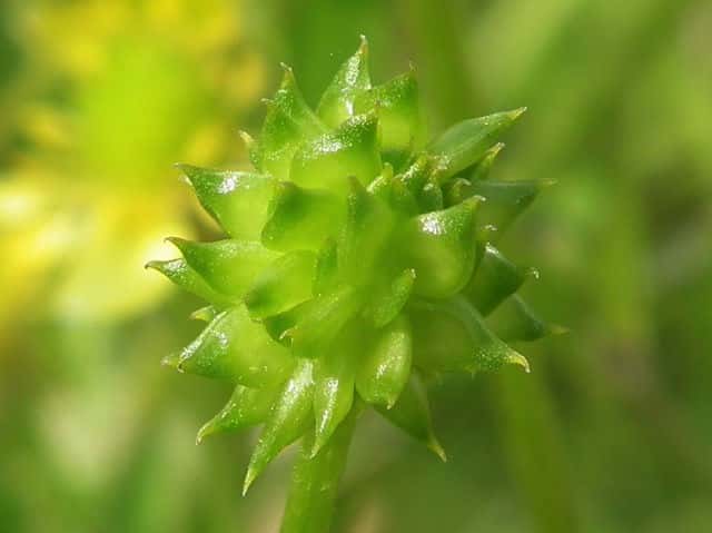 �P�L�c�l�m�{�^��