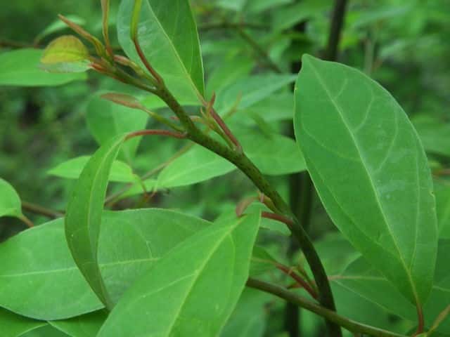 �N�����W