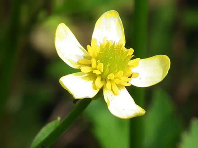 �L�c�l�m�{�^��