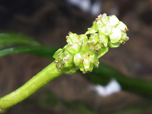 ���i�M��