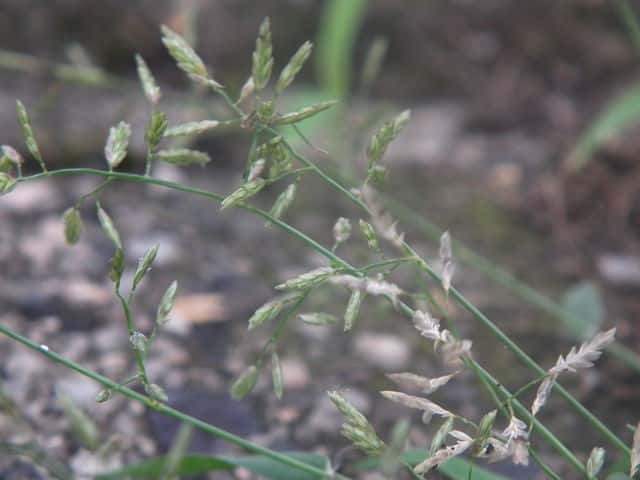 �R�X�Y���K��