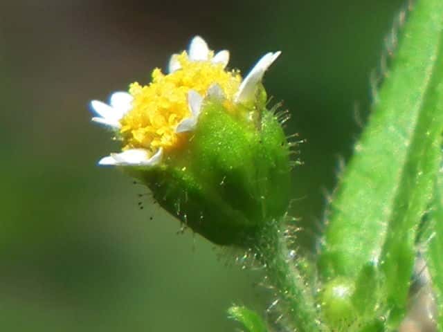 �n�L�_���M�N