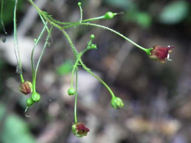 �q�i�m�E�X�c�{