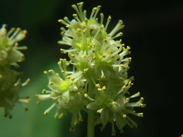 �c�d���t�W