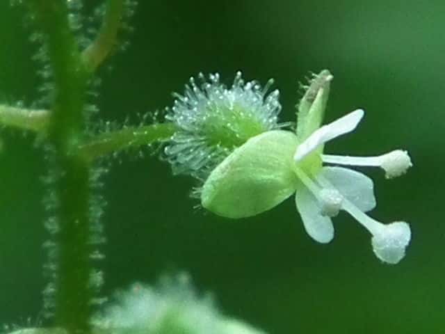 �~�Y�^�}�\�E