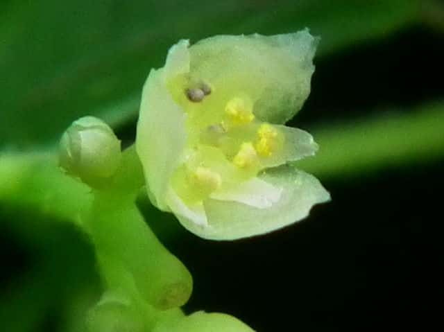 �A�I�c�d���t�W