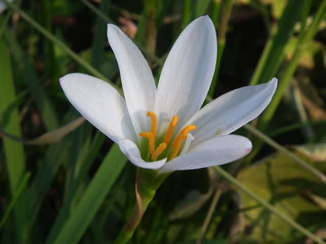 �^�}�X�_��