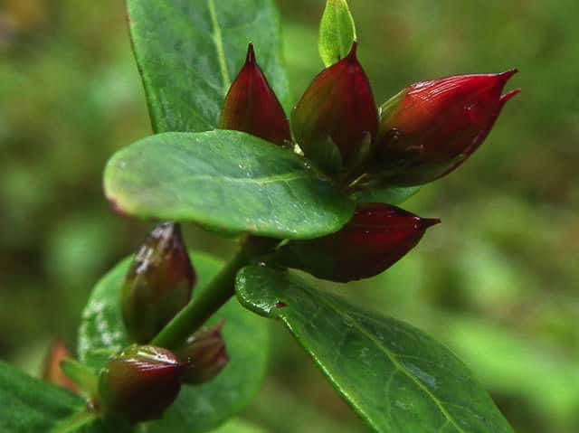 �~�Y�I�g�M��