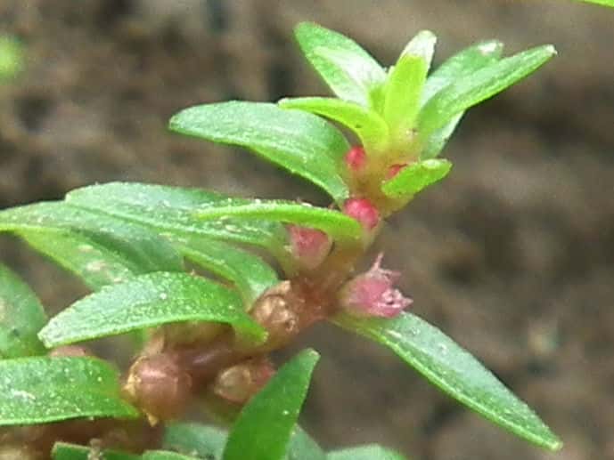 �~�Y�}�c�o