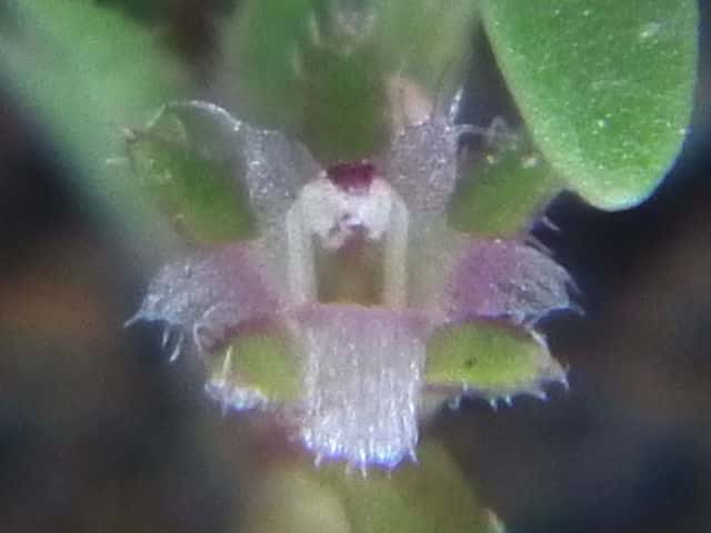 �X�Y���m�n�R�x