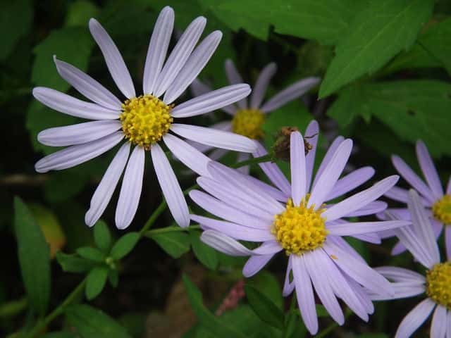 �I�I���E�K�M�N