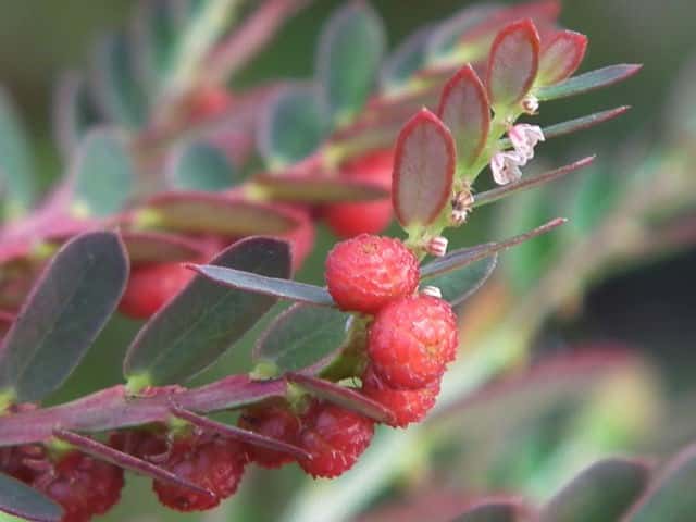 �R�~�J���\�E