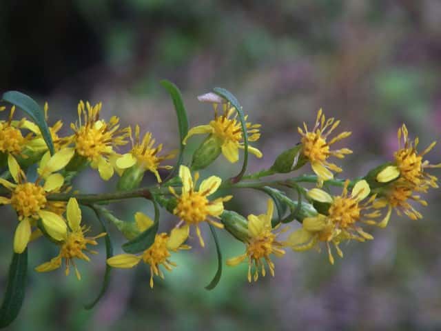 �A�L�m�L�����\�E