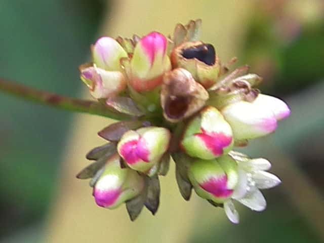 �E�i�M�c�J�~