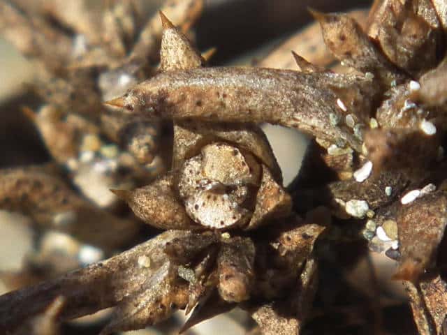 �I�J�q�W�L