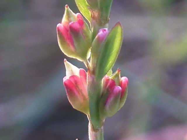 �A�L�m�~�`���i�M