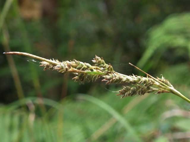 �R�S���X�Q