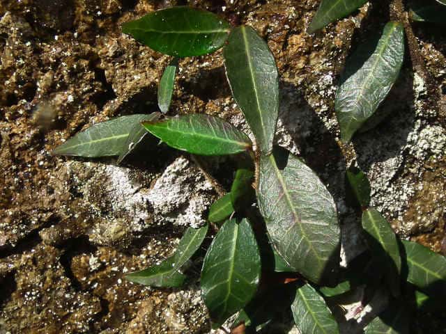 �e�C�J�J�Y��