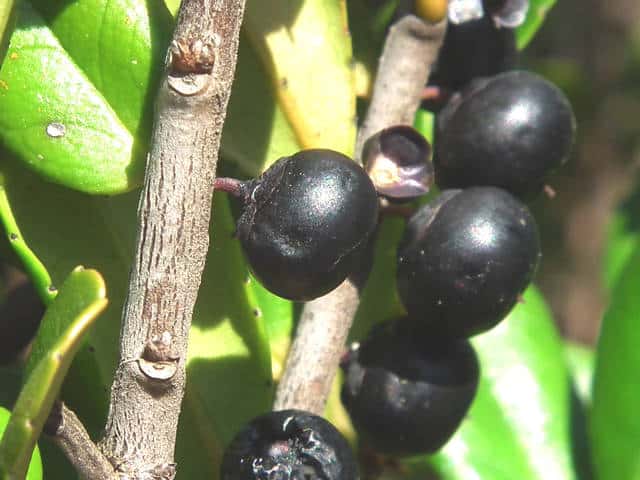 �n�}�q�T�J�L