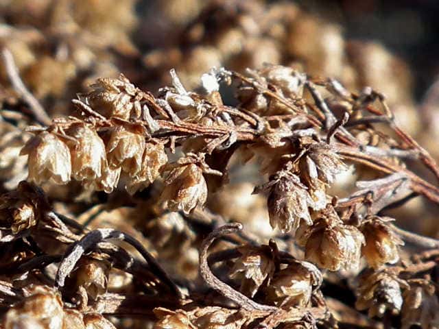 �J���������M