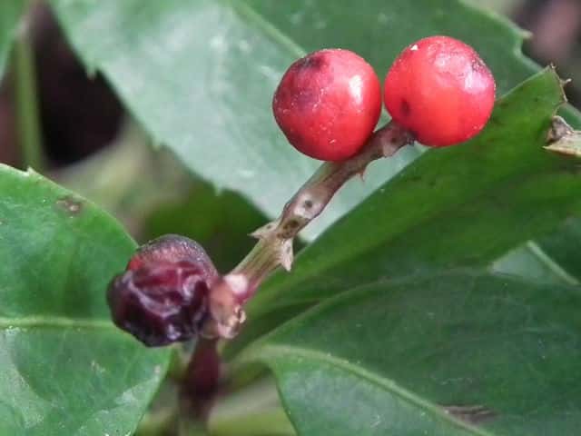 �Z�������E