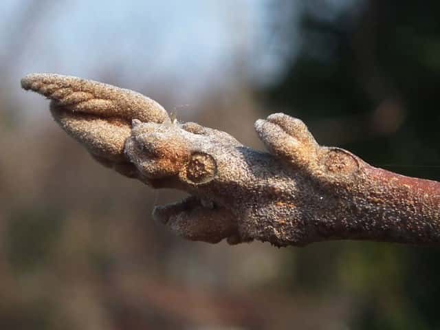 �A�J���K�V��