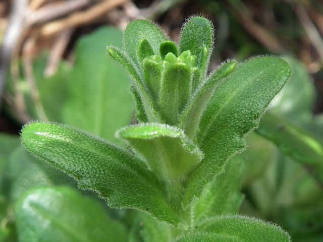 �n�}�n�^�U�I