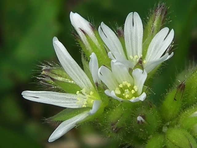 �I�����_�~�~�i�O�T