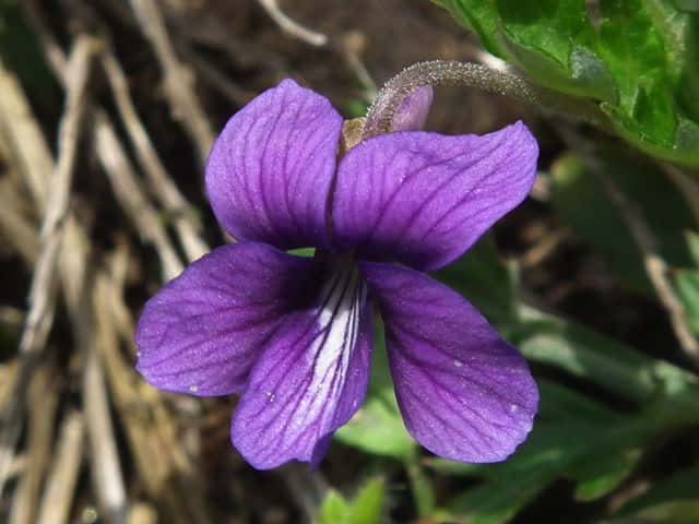 �m�W�X�~��