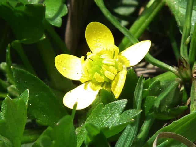 �g�Q�~�m�L�c�l�m�{�^��