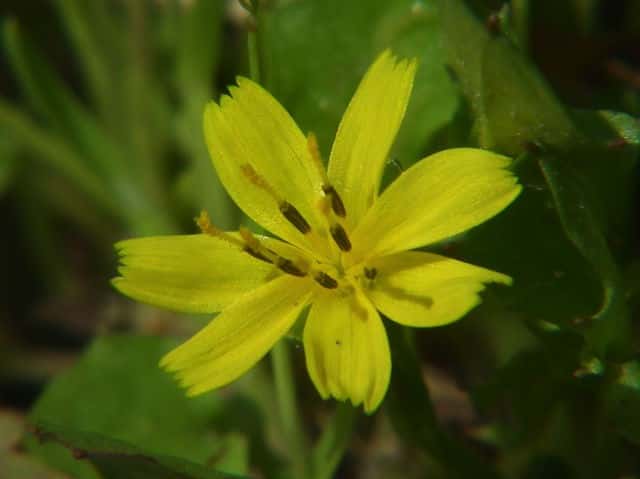 �R�I�j�^�r���R