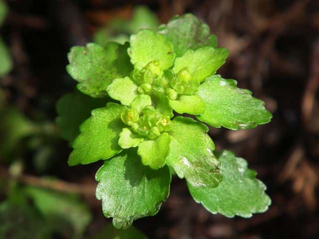 �l�R�m���\�E