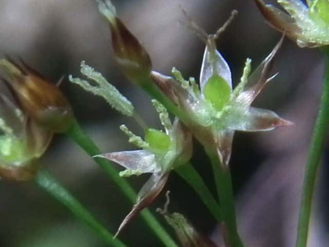 �k�J�{�V�\�E