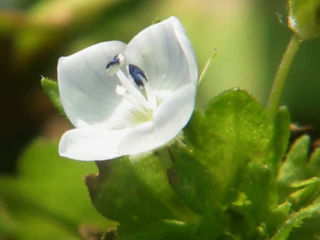 �I�I�C�k�m�t�O��