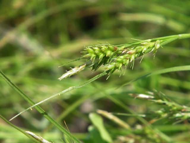 �m�Q�k�J�X�Q