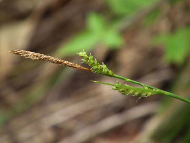 �j�V�m�z�������W�X�Q