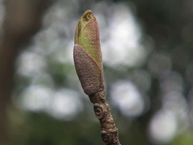 �}���o�A�I�_��