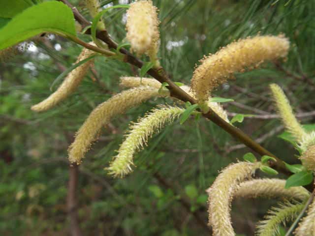 ���}���i�M