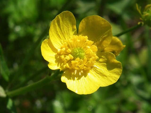 �E�}�m�A�V�K�^