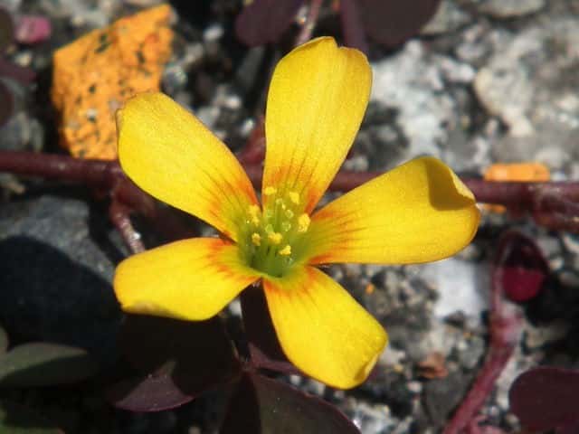 �A�J�J�^�o�~