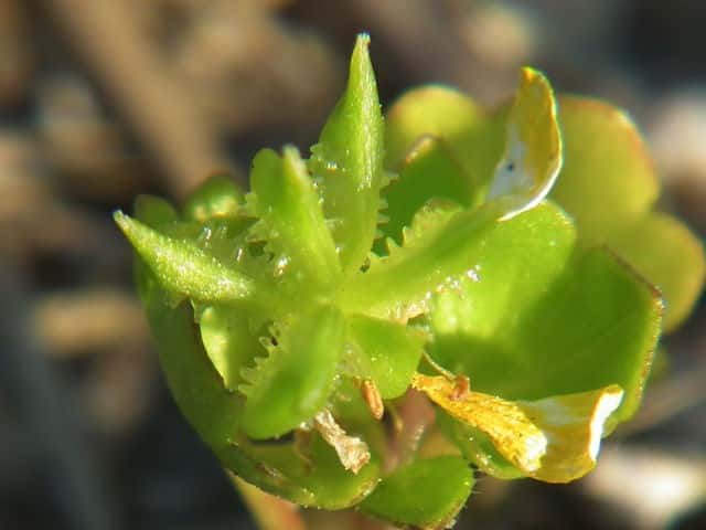 �g�Q�~�m�L�c�l�m�{�^��