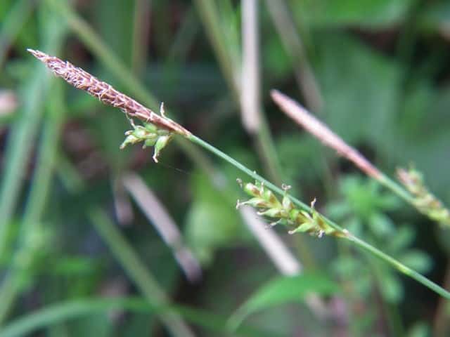 �j�V�m�z�������W�X�Q