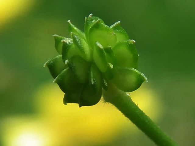 �E�}�m�A�V�K�^