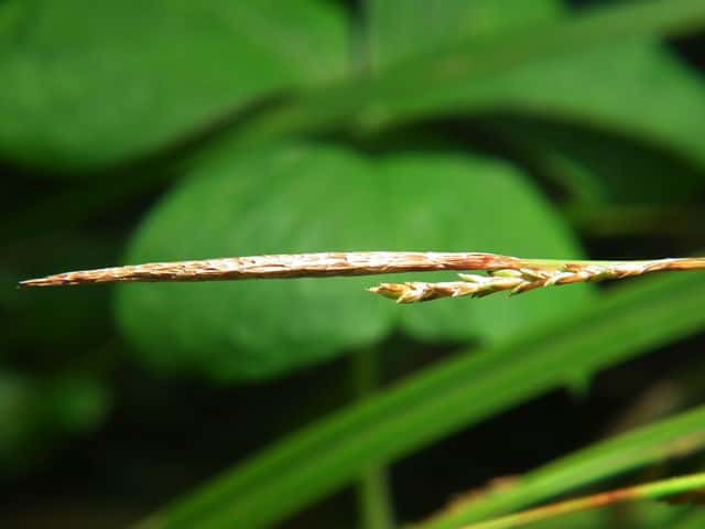 �~���}�J���X�Q