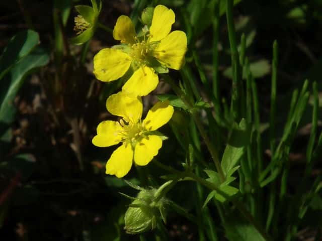 �~�c�o�c�`�O��